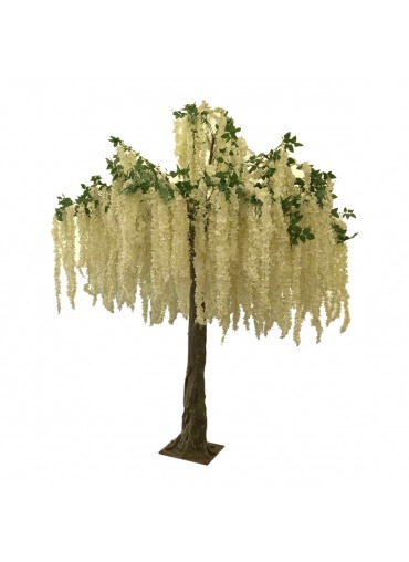 Wisteria Tree 11ft for Hire
